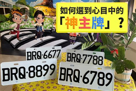 車牌 風水|【車牌如何選】車牌號碼怎麼選？掌握五行能量，助你一路順風！。